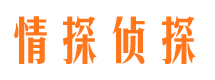 眉山寻人公司